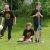 Bilder 2013 - Faustball Braunschweig 